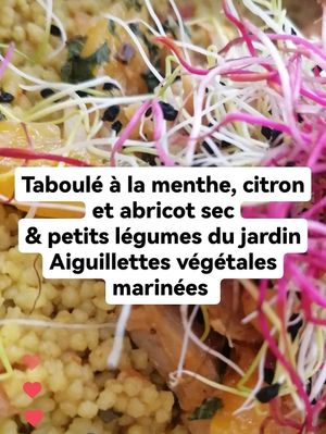 Vegan Daily offer at Chabana in Narbonne