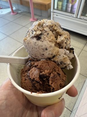 COOKIES & CREAM CARAMEL SWIRL, DARK CHOCOLATE FUDGE BROWNIE  at Van Leeuwen Ice Cream in Denver