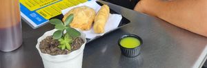 Pallito de queso and empanada at Shottas Medellin Vegan Food in Medellin
