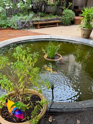  at Qui L'eût Cru in Ramatuelle