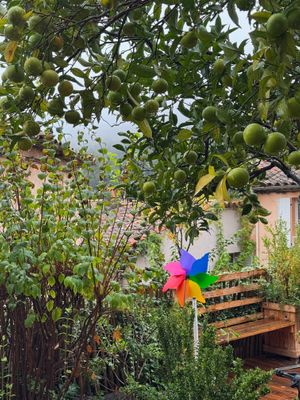  at Qui L'eût Cru in Ramatuelle