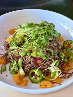 Soba noodle dish  at The Literary in Champaign