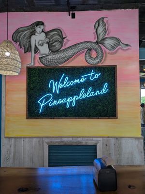 Inside at Playa Bowls - Quarry Trails Dr in Columbus