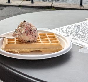 Vegan waffle with vegan berries & brownie ice cream at Vafleriet in Bergen