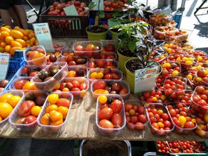 When in season, the tomato selection is huge at Gartneriet Rødmose in Vejle
