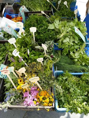 In the summer the herb selection is awesome at Gartneriet Rødmose in Vejle