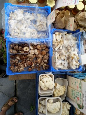 Shiitake and more... at Gartneriet Rødmose in Vejle