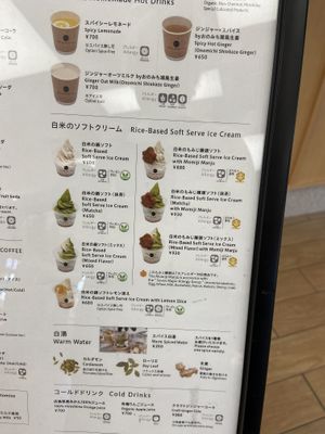 Ice cream menu  at Akushu Cafe ORGANIC - 握手カフェオーガニック in Hiroshima