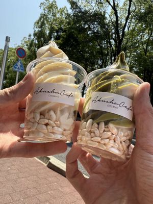   at Akushu Cafe ORGANIC - 握手カフェオーガニック in Hiroshima