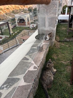 Outdoor   at Moniq Restaurant & Cocktail Bar in Nevsehir