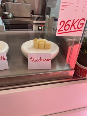Pacchero  at 26KG in Barcelona