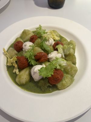 Gnocchi   at 26KG in Barcelona