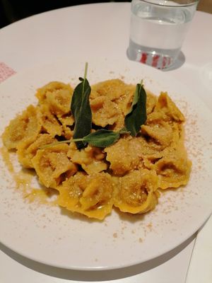 Tortellinit at 26KG in Barcelona