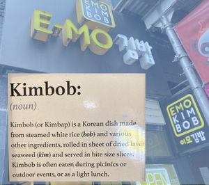 Wall description, superposed over front of shop at E-MO in New York City