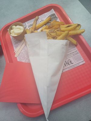 Medium portion of frites with vegan mayo at Fries and More  in Brussels