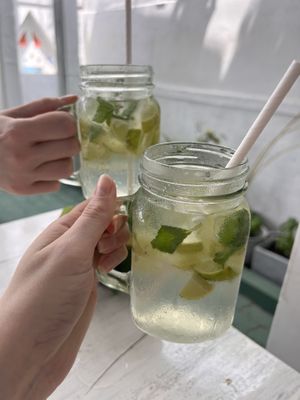 Virgin mojitos  at Planta Vegetarian Restaurant in Negombo