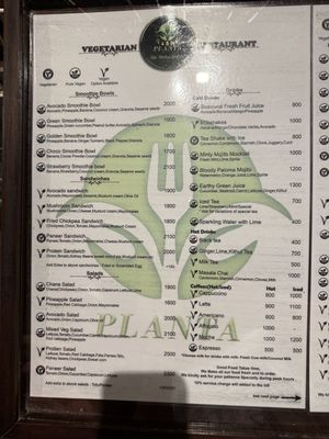 Many vegan options! So I don’t understand why I can’t find this restaurant anymore if I search on ‘vegan options'  at Planta Vegetarian Restaurant in Negombo