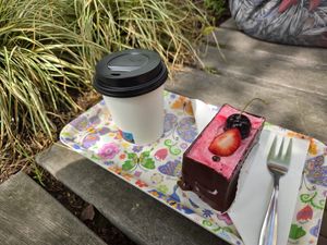 Feiner Kuchen und doppelter Espresso at Lente - Vegan Patisserie in Gouda