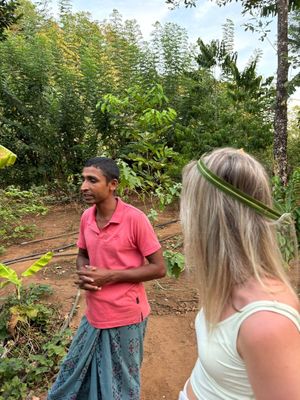 Explain everything how to growing organic and make ayurvadic herbs at Organic Cooking Class in Sigiriya