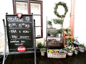  at Lucky's Vege Bistro in Trebic