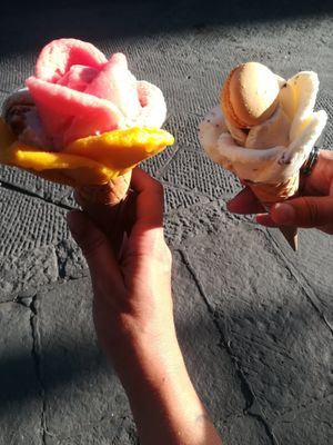  at Amorino - Firenze Cerretani in Florence