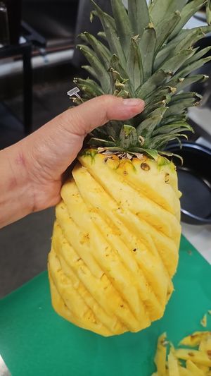  at Gindee's Vegan - Maybe closed in San Antonio