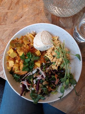 Lunch bowl with tofu curry, rice, hummous and salads at Raawka in Vaasa