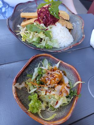 Delicious dumplings as a starter at Bödhi in Leipzig