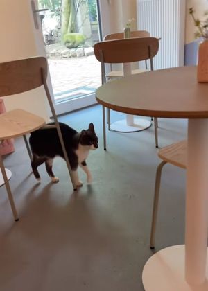  at 44QM - Ottensen in Hamburg