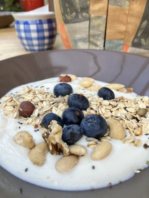 Dag 2 💜  at Hoeve Veganza B&B in Vlagtwedde