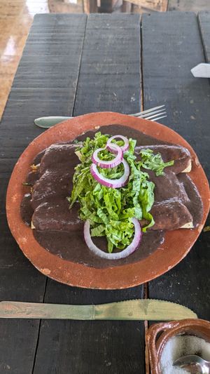 Vegan burritos with frijole sauce at La Cocina de la Tía in Chiapa De Corzo