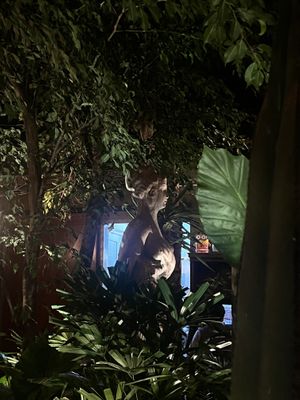   at OCHO30 - Cholula in San Andres Cholula