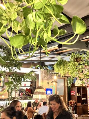   at OCHO30 - Cholula in San Andres Cholula