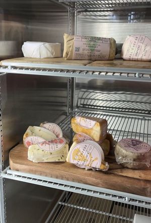   at Cashew in Chattanooga