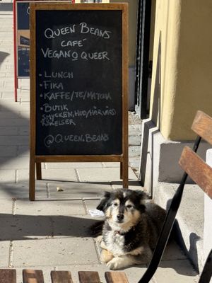 The manager🤓  at Queen Beans in Uppsala