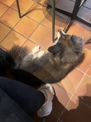   at Queen Beans in Uppsala