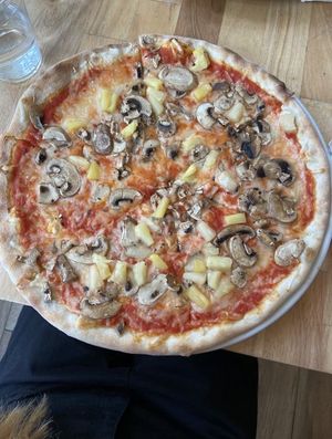 Vegan pizza with shrooms  at Mister O1 in Boca Raton