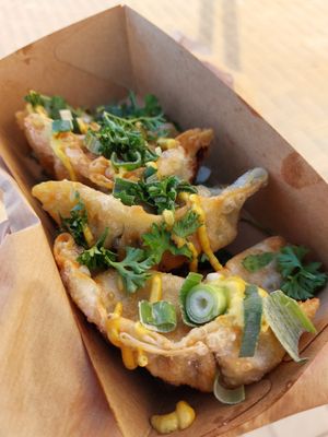  at terra food truck in Zeebrugge