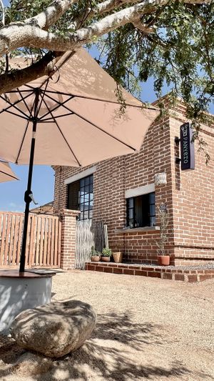  at PanVero Whole Bakery & Elixirs in Todos Santos