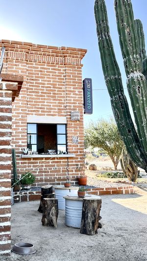  at PanVero Whole Bakery & Elixirs in Todos Santos