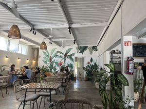 Even the aesthetic is soothing!   at Antigua Coffee & Bakery in San Jose Del Cabo