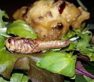 Salat mit Grillen at Mongo's in Duisburg