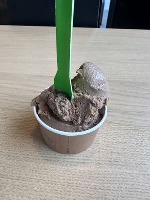 Hazelnut chocolate gelato   at Everdale Cafe & Gelato in Springvale