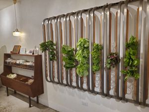 Fresh green veggies at Vege Creek 蔬河 - Yanji St in Taipei