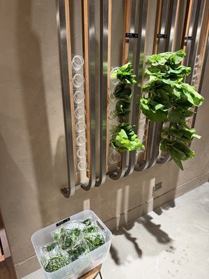   at Vege Creek 蔬河 - Yanji St in Taipei