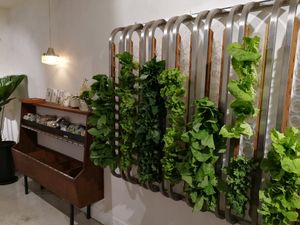 veggies at Vege Creek 蔬河 - Yanji St in Taipei