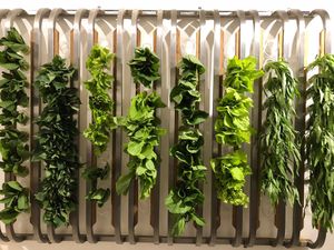 Veggies are waiting to pick up at Vege Creek 蔬河 - Yanji St in Taipei