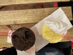 Vegan chocolate and mango & yoghurt   #Veganuary at Gelateria Valentino in Rome