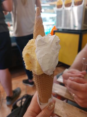 Vegan yogurt ice cream and melon sorbet at Gelateria Valentino in Rome