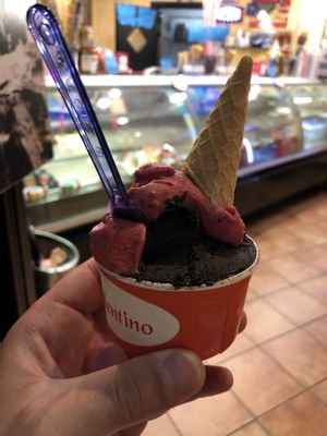 Dark chocolate & fruits of the basket  at Gelateria Valentino in Rome